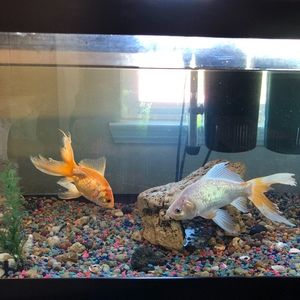 Meet your Posher, Eddy